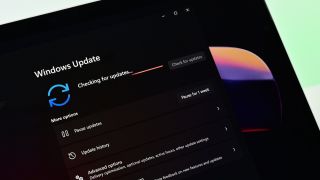 Windows 11 update in Settings app